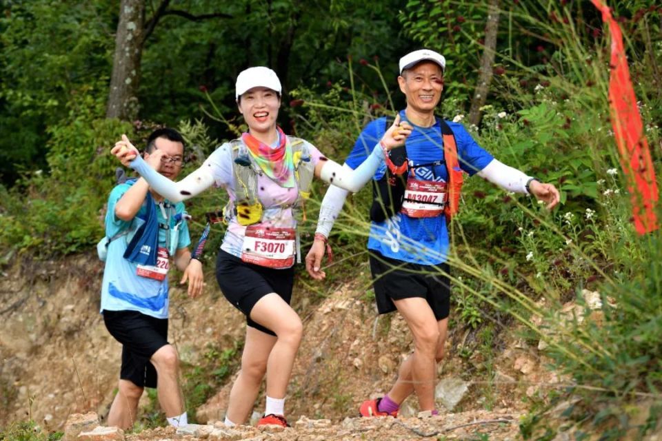 交替, Qd 交替, Qd