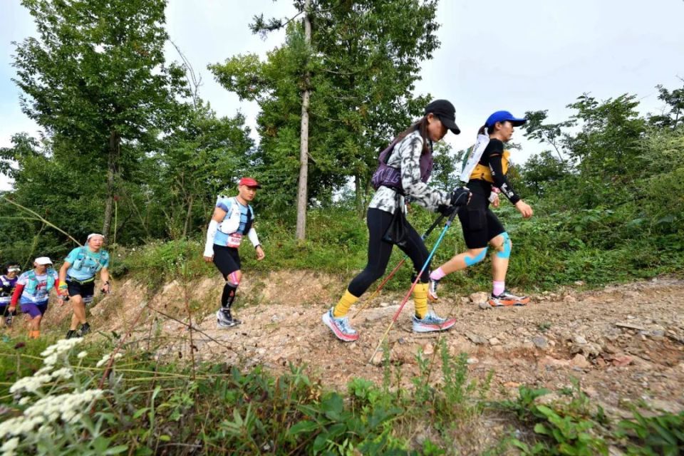 OdOH, 档升级 OdOH, 档升级