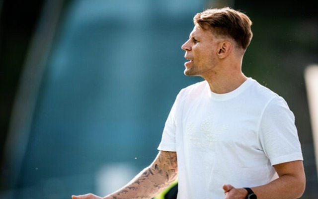 中日德兰 中日德兰