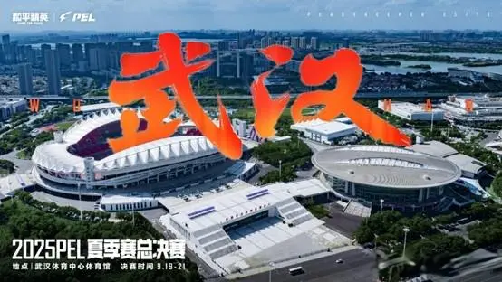 球总决赛中, entit, 角逐 球总决赛中, entit, 角逐