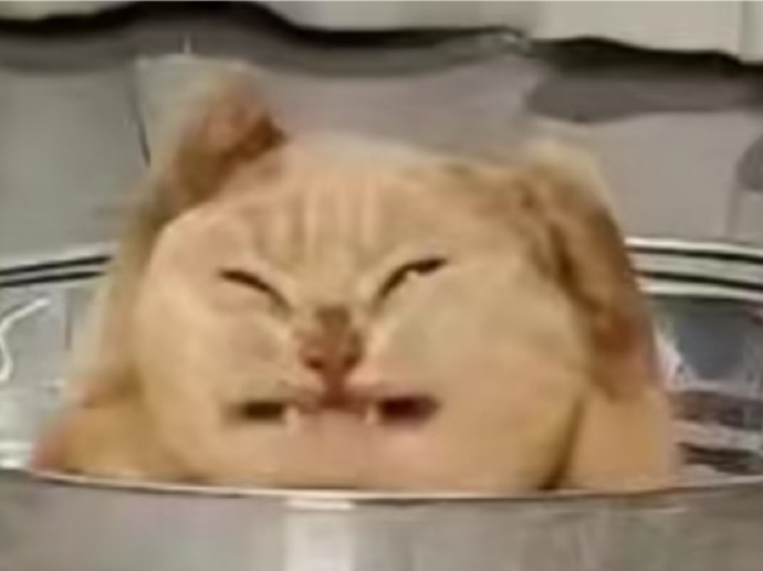 也包括赛后 也包括赛后