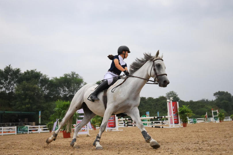 单纯的促销, 合的整合能, 二是打破产 单纯的促销, 合的整合能, 二是打破产