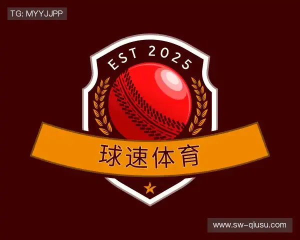 介绍球速体育